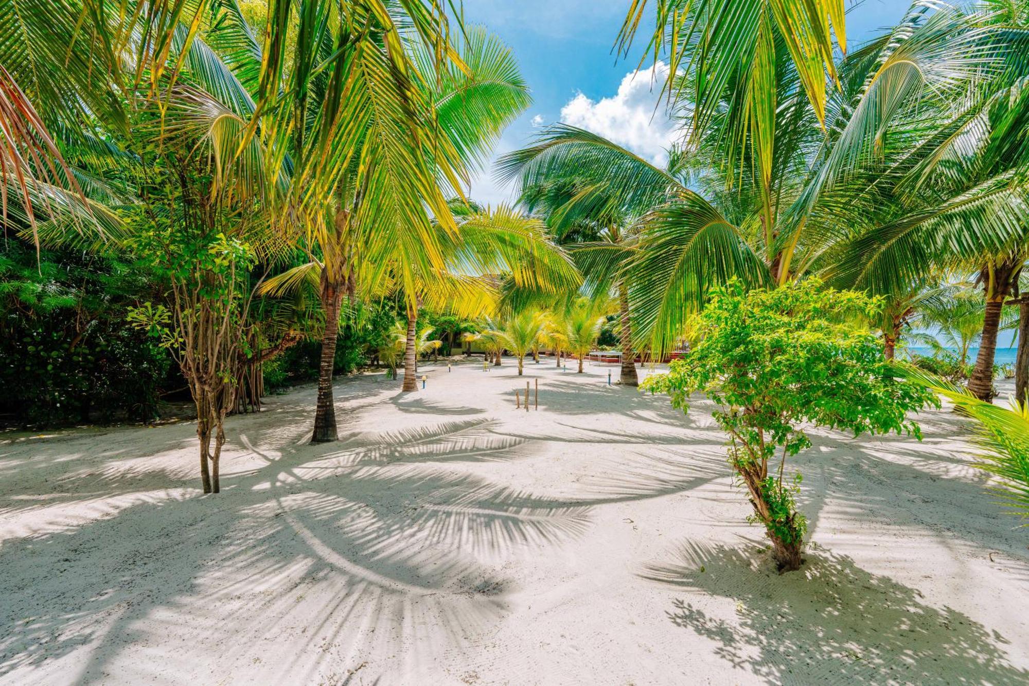 Ifa Beach Resort Джамбиани Екстериор снимка